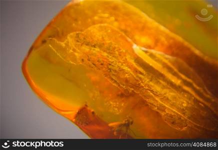 Macro. Closeup of amber golden mineral on grey gray background. Resin gem.
