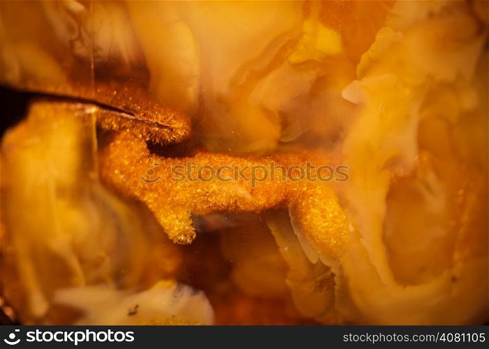Macro. Closeup of amber rock as background texture or backdrop. Golden resin gem with plant inside.