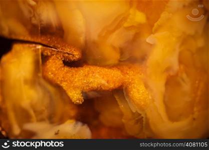 Macro. Closeup of amber rock as background texture or backdrop. Golden resin gem with plant inside.