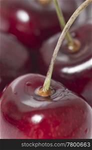 Macro fresh cherry