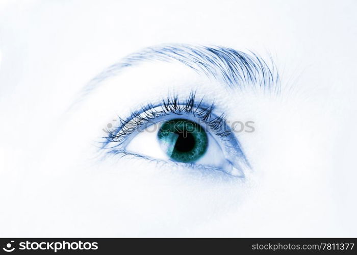 macro of beautiful human eye