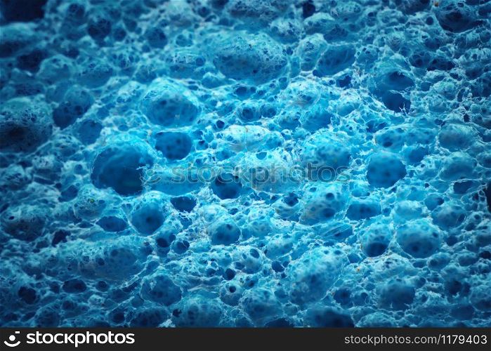 Macro of biological texture. Element of design. Cell blue background.