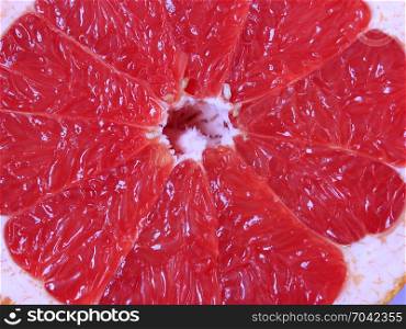 macro of cut red grapefruit. macro of cut fruit of red grapefruit on the board