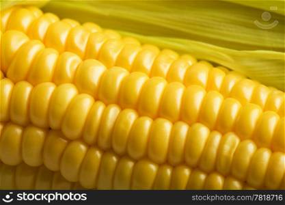 macro of fresh maize