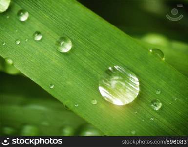 Macro of raindrop. Composition of nature.