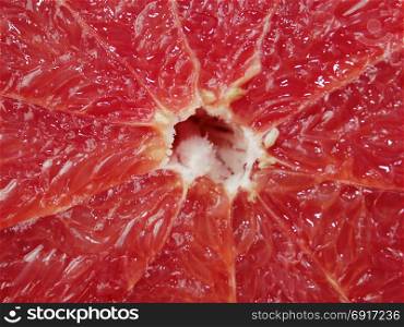 macro of red grapefruit. grapefruit bright red and cut by segments
