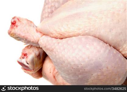 Macro of the skin of a raw chicken