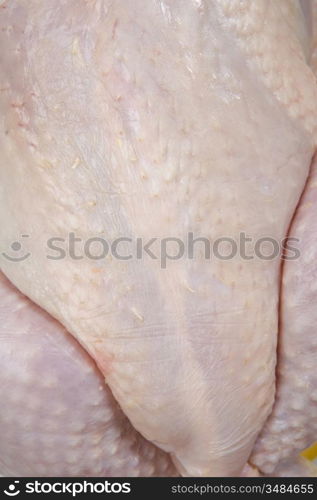 Macro of the skin of a raw chicken