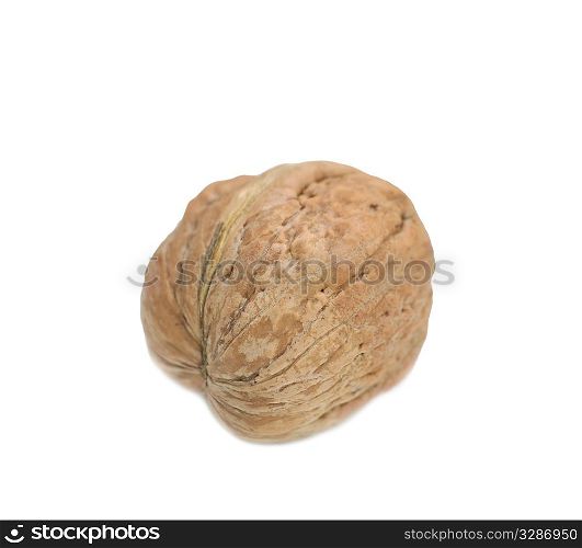 macro of the walnut isolated on white