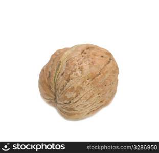 macro of the walnut isolated on white