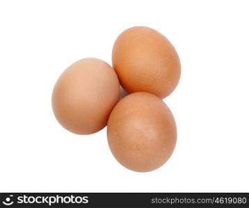 Macro of three brown eggs isolated on white background