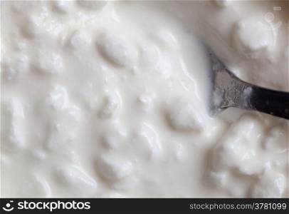 Macro or close-up of white cottage cheese with teaspoon. Diet and healthy nutrition. Studio shot.