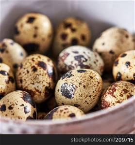 Macro photo of organic quail eggs in a white plate on a wooden table. Healthy food. Top view. Macro photo white bowl with fresh healthy quail eggs on a wooden table. Diet food. Top view