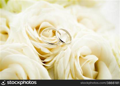 Macro photo of two golden wedding rings lying on white rose