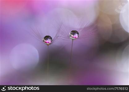 Macro Photography.Floral abstract pastel background with copy space.Dandelion flower in soft style.Violet Nature Background.Blurred space for your text.Tranquil nature closeup view.Violet color backdrop for your design.