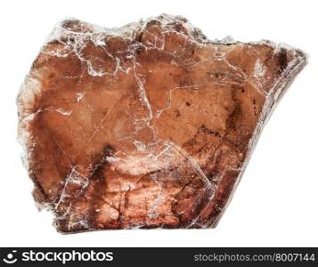 macro shooting of collection natural rock - brown muscovite (common mica) mineral stone isolated on white background