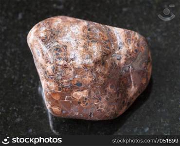 macro shooting of natural mineral rock specimen - polished leopardskin jasper gemstone on dark granite background