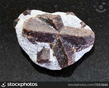 macro shooting of natural mineral rock specimen - raw crystal of Staurolite in mica shale on dark granite background from Western Keivy, Kola Peninsula, Russia