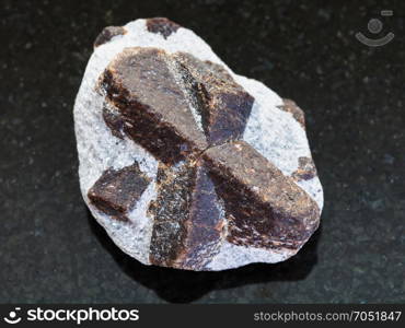 macro shooting of natural mineral rock specimen - rough crystal of Staurolite in mica shale on dark granite background from Western Keivy, Kola Peninsula, Russia