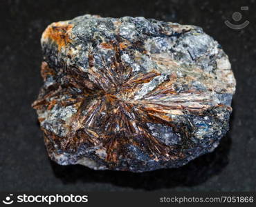 macro shooting of natural mineral rock specimen - rough lamprophyllite stone on dark granite background from Sengischorr Mount of Lovozero Massif, Kola Peninsula in Russia