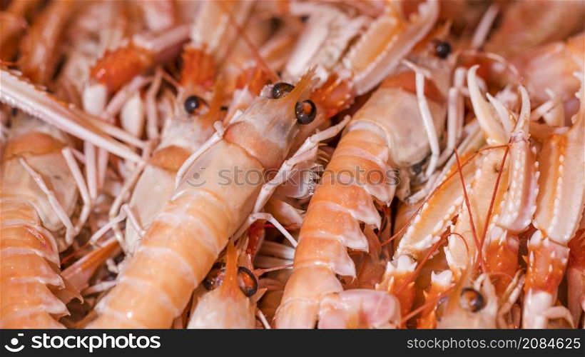 macro shot fresh shrimp shop