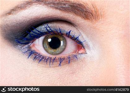 macro shot of a female eye with fashion make-up