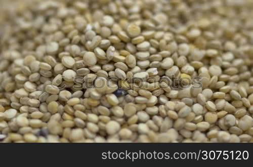 Macro shot of Quinoa seeds pile