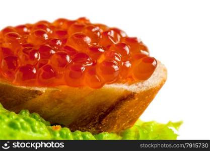 Macro shot of red caviar on a piece of bread