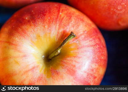 Macro shot of the fresh natural organic apple candid shot.