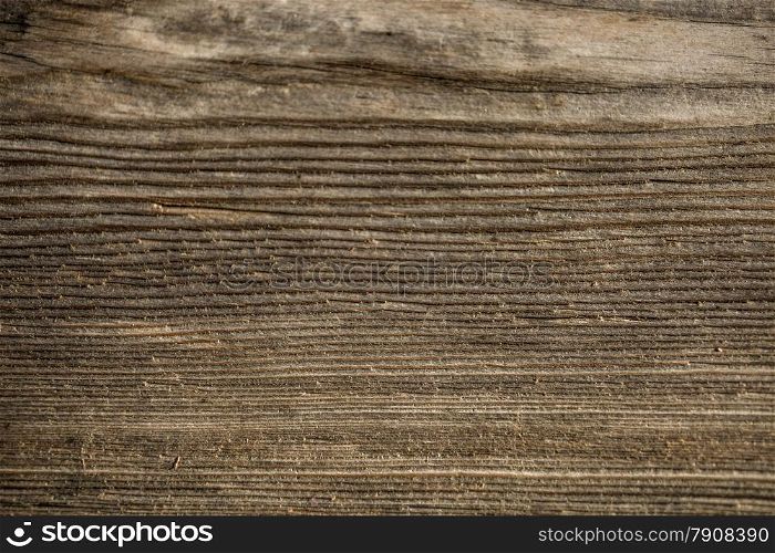 Macro texture of grungy wooden board