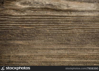 Macro texture of grungy wooden board