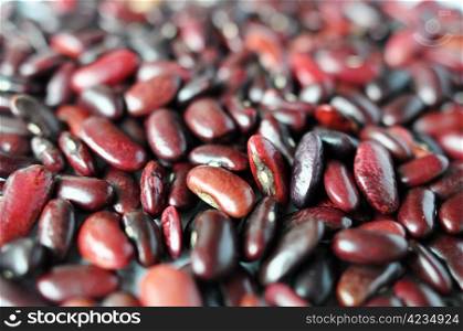 Macro view of red kidney beans