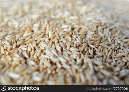 Macro view of wheat grains