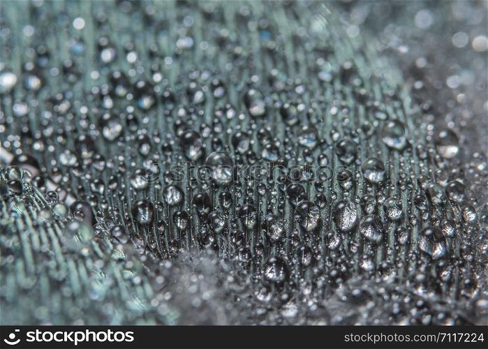 Macro water drops on feathers