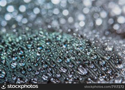 Macro water drops on feathers