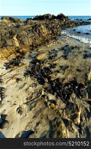 madagascar andilana beach seaweed in indian ocean sand isle sky and rock
