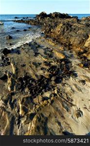 madagascar andilana beach seaweed in indian ocean sand isle sky and rock