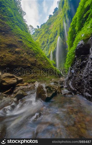 Madakaripura Waterfall in national park. The tallest waterfall in Java Island. Nature landscape background of travel trip and holidays vacation in Indonesia. Tourist attraction.