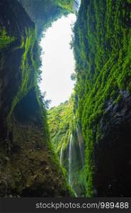 Madakaripura Waterfall in national park. The tallest waterfall in Java Island. Nature landscape background of travel trip and holidays vacation in Indonesia. Tourist attraction.