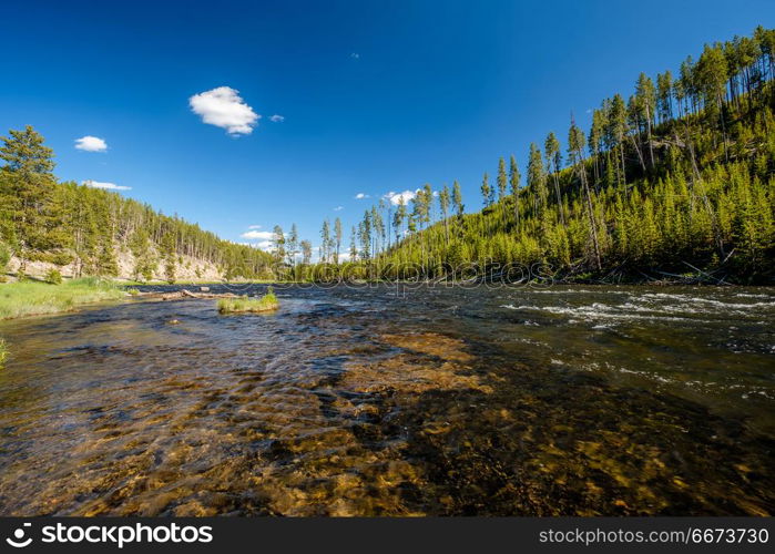 Madison River, Yellowstone National Park, Wyoming. Madison River near West Yellowstone, Yellowstone National Park, Wyoming, USA