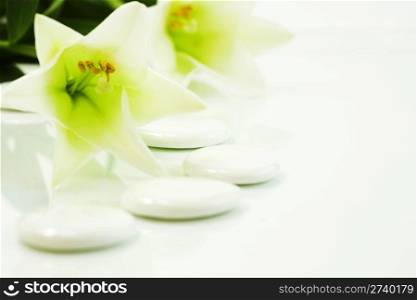 madonna lily and spa stones on white (SPA concept)