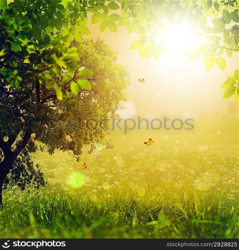 Magic Forest. Abstract environmental backgrounds for your design