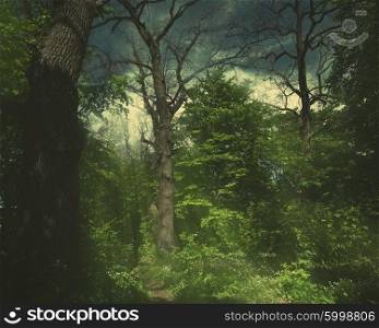 Magic forest, abstract seasonal backgrounds
