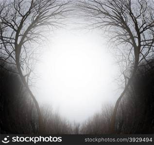 Magic forest winter scene frame blank sign as a mystical magical background of trees in an enchanted environment with a glowing sun shining a bright light with a blank space as copy space.