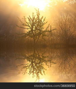 Magic lake of misty