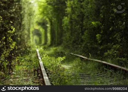 Magic Tunnel of Love, green trees and the railroad, in Ukraine. Focus on the foreground, background is defocused.. Magic Tunnel of Love, green trees and the railroad, in Ukraine. Focus on the foreground, background is defocused