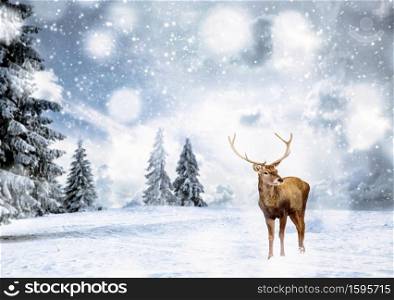 magical Christmas card with noble deer male in fairy tale winter landscape
