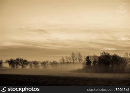 Magical morning mist foliage on a beautiful countryside scenery landscape