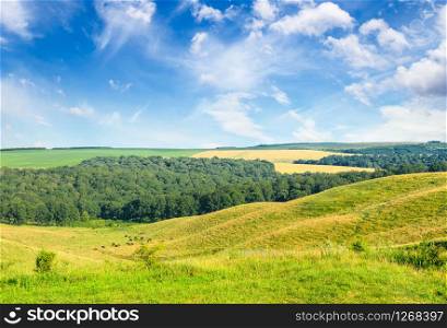 Magnificent pasture landscape and bright blue sky