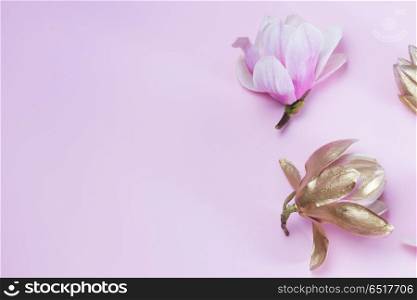 Magnolia Flowers on pink. Magnolia Flowers pink ang golden one on plain pink background with copy space